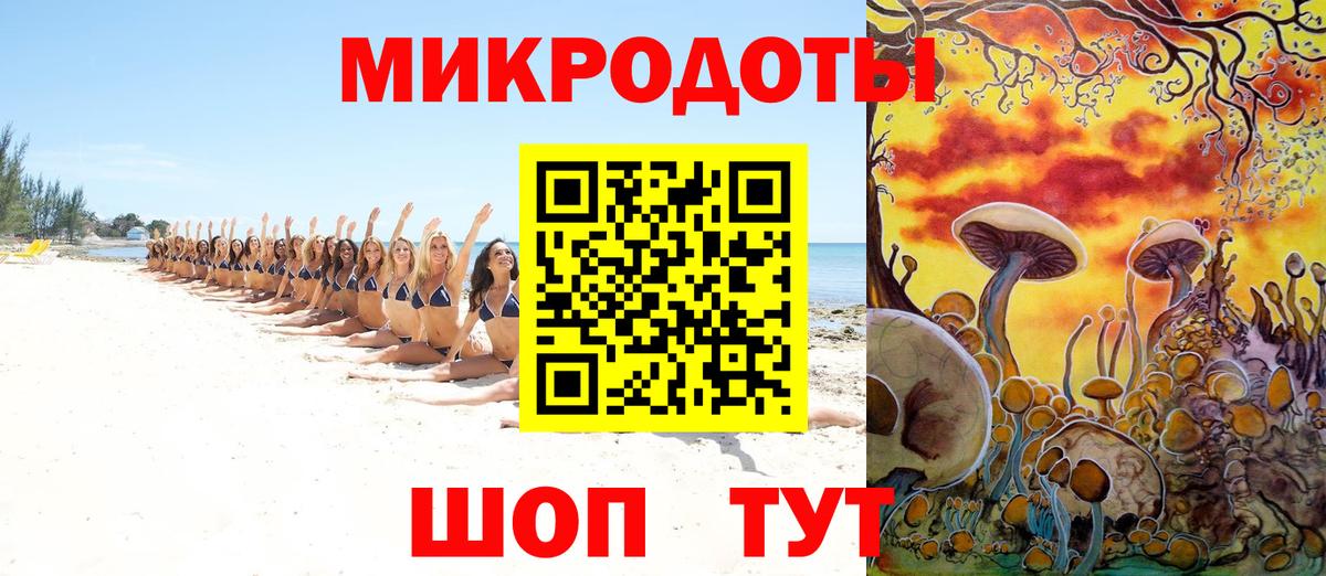 Псилоцибиновые грибы ЛСД Кондопога