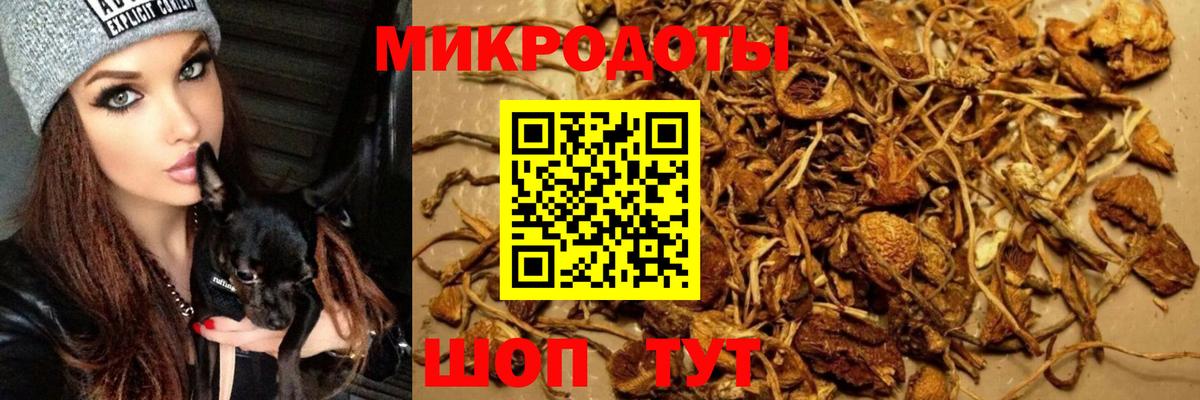 Псилоцибиновые грибы MAGIC MUSHROOMS  Вход с VPN  магазин    Кондопога  Галлюциногенные грибы мицелий 